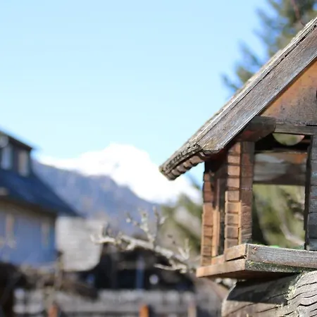 Haus Dorfer Bed & Breakfast 3*